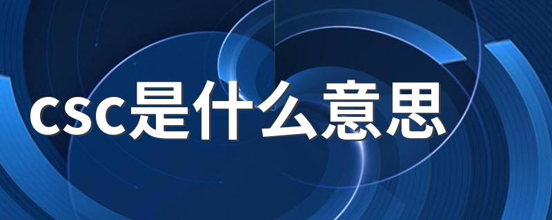 怎么理解csc的意思_csc是什么意思