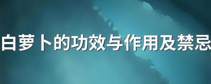 白萝卜有哪些作用功效与禁忌_白萝卜的功效与作用及禁忌