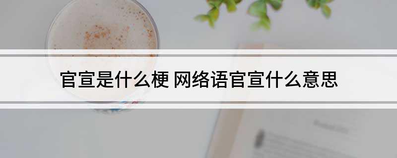 官宣是什么梗 网络语官宣什么意思