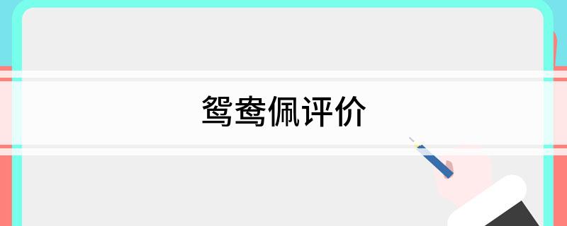 鸳鸯佩评价