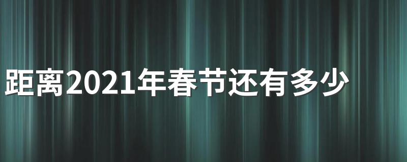 距离2021年春节还有多长时间_距离2021年春节还有多少天