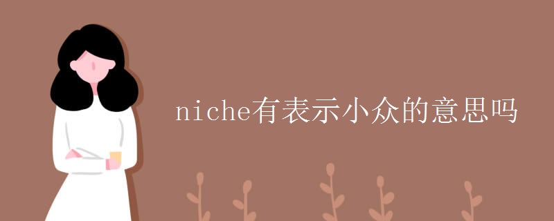 niche有表示小众的意思吗