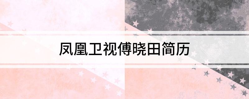 凤凰卫视傅晓田简历