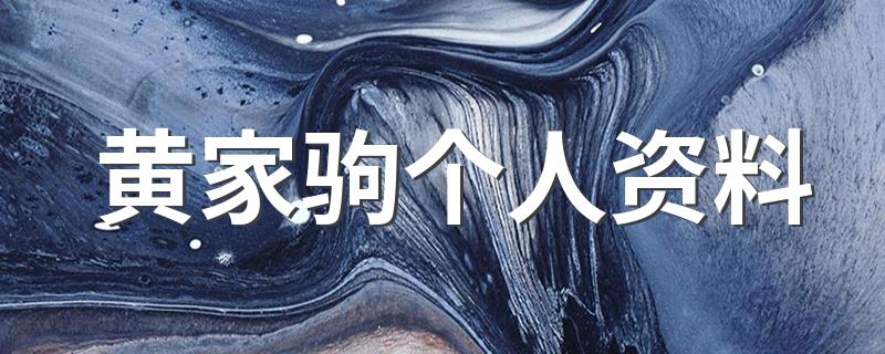 黄家驹的简介_黄家驹个人资料