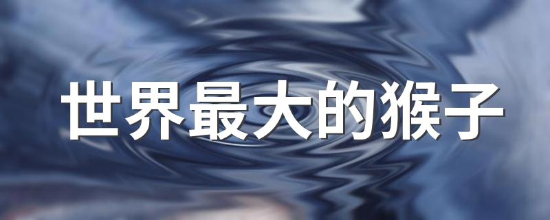 世界最大的猴子介绍_世界最大的猴子