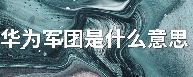华为军团是什么意思