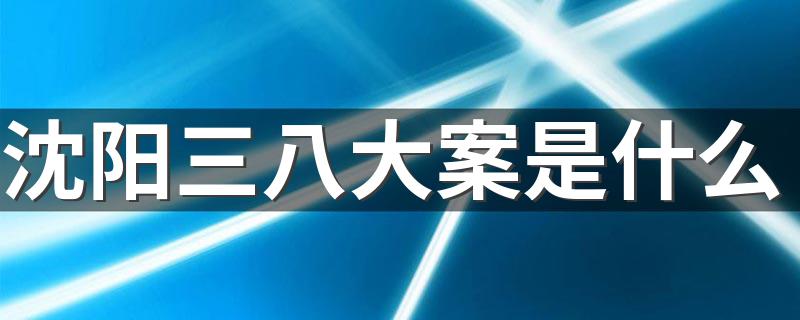 是什么案子简单的介绍一下_沈阳三八大案是什么