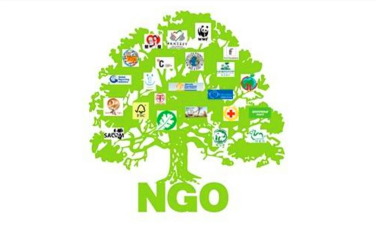 ngo是什么意思
