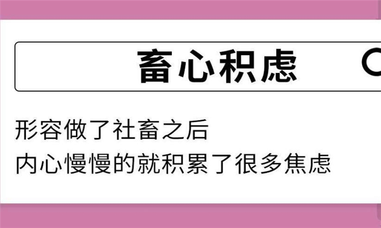 社畜什么意思