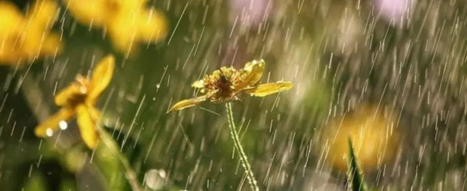 春雨像什么的比喻句有哪些？