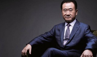 王健林简介(关于王健林简介)