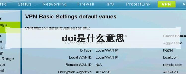 doi是什么意思