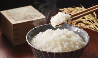 大锅饭怎么煮(大锅饭如何煮)