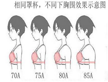 罩杯怎么算
