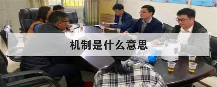 机制是什么意思