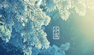 小雪节气的特点和风俗(小雪节气有何特点)