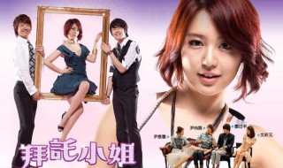 拜托小姐演员表(女主角是谁演的)