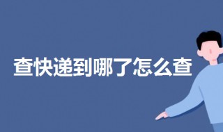 查快递到哪了怎么查(查快递的方法)