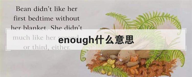 enough什么意思
