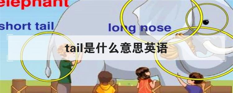 tail是什么意思英语