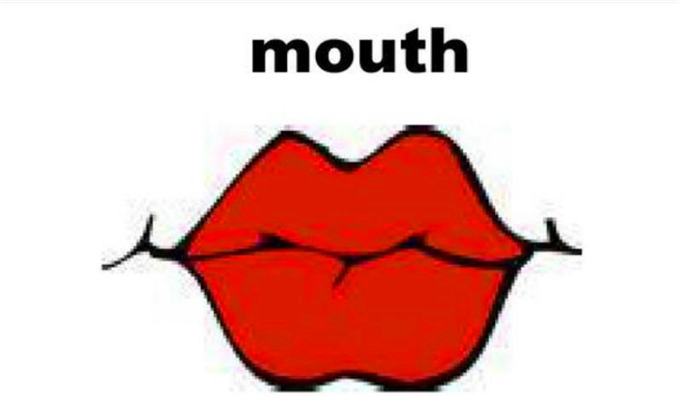 mouth是什么意思