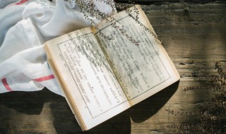 狴犴的寓意和象征是什么(狴犴的简介)