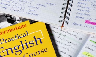 lastname是什么意思(lastname的翻译)