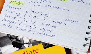 lettinggo是什么意思(lettinggo的意思是什么)
