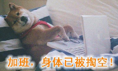 995工作制是什么意思？