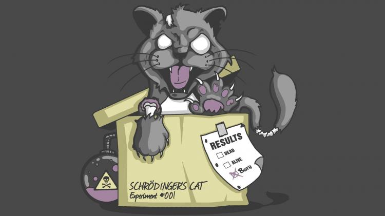薛定谔的猫什么意思