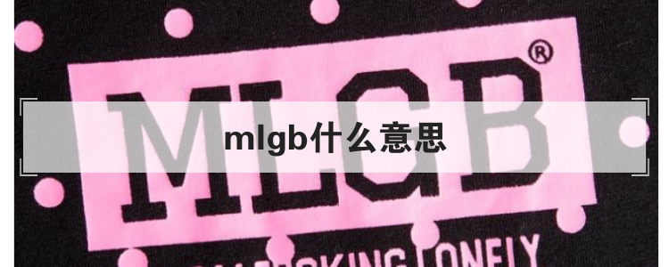 mlgb什么意思