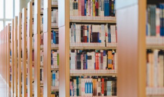 随便的含义(随便是什么意思)