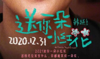 送你一朵小红花主题曲(送你一朵小红花歌词完整版)