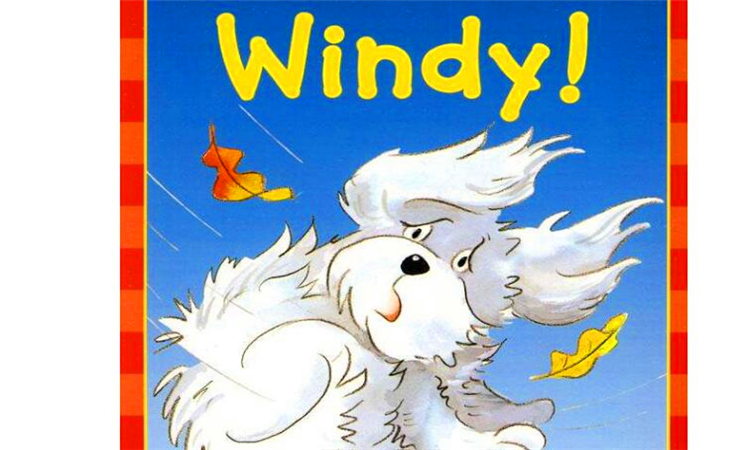 windy什么意思啊