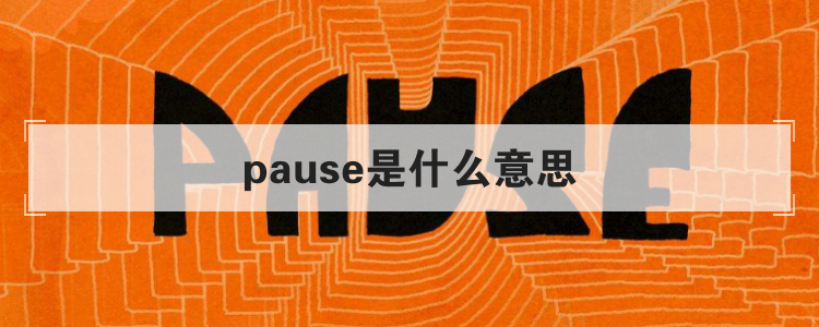 pause是什么意思