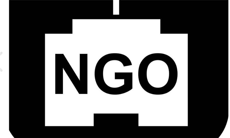 ngo是什么意思