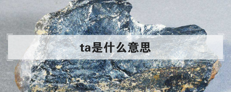 ta是什么意思