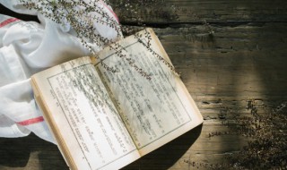 牛顿的生平事迹(牛顿简介)