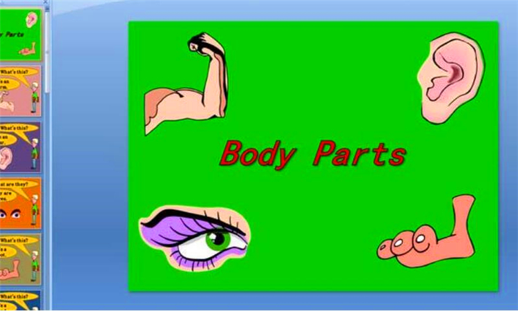 body是什么意思