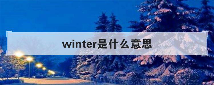 winter是什么意思