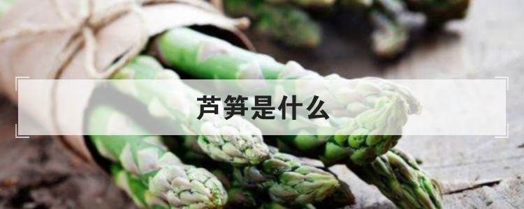 芦笋是什么