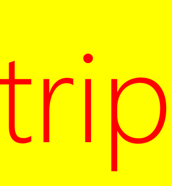 trip什么意思