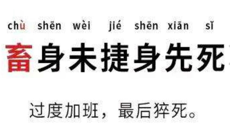 社畜什么意思