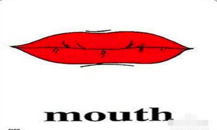 mouth是什么意思