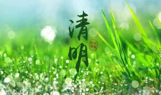 二十四节气中既是节气又是传统节日的是(既是节气又是传统节日的是哪个节日