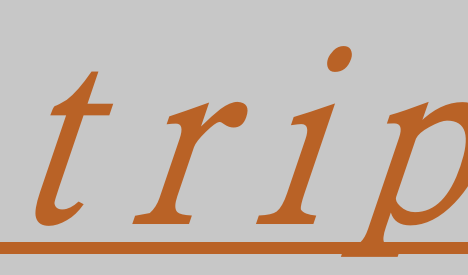 trip什么意思