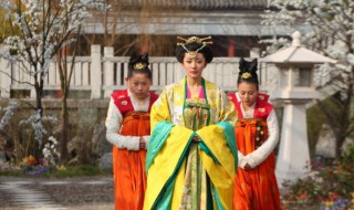 唐宫美人天下剧情简介(唐宫美人天下剧情介绍)