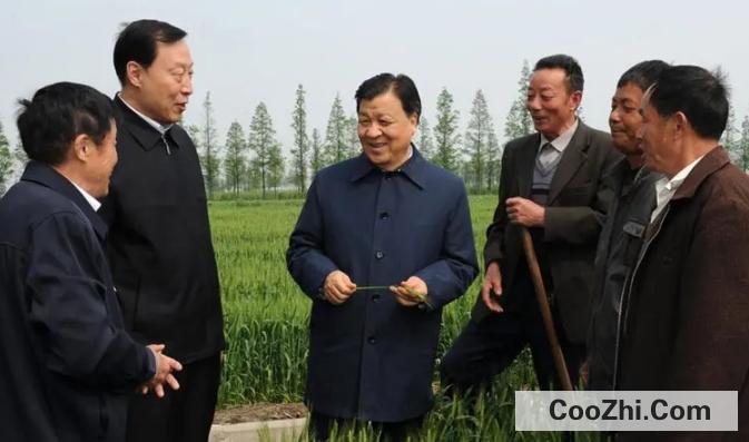 中央书记处书记是什么级别