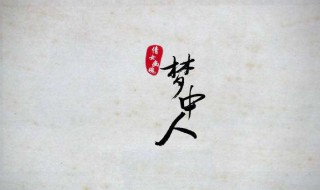 梦中人歌词(王菲梦中人完整歌词)