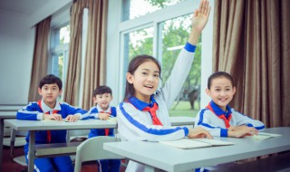 senior什么意思(senior的意思)